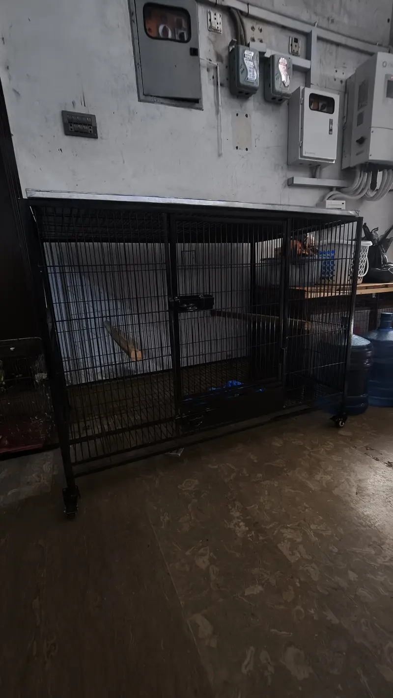 Cage | Hens Cage | Cat Cage | Dogs Cage | Birds Cage | Pet Iron Cage — photo 6