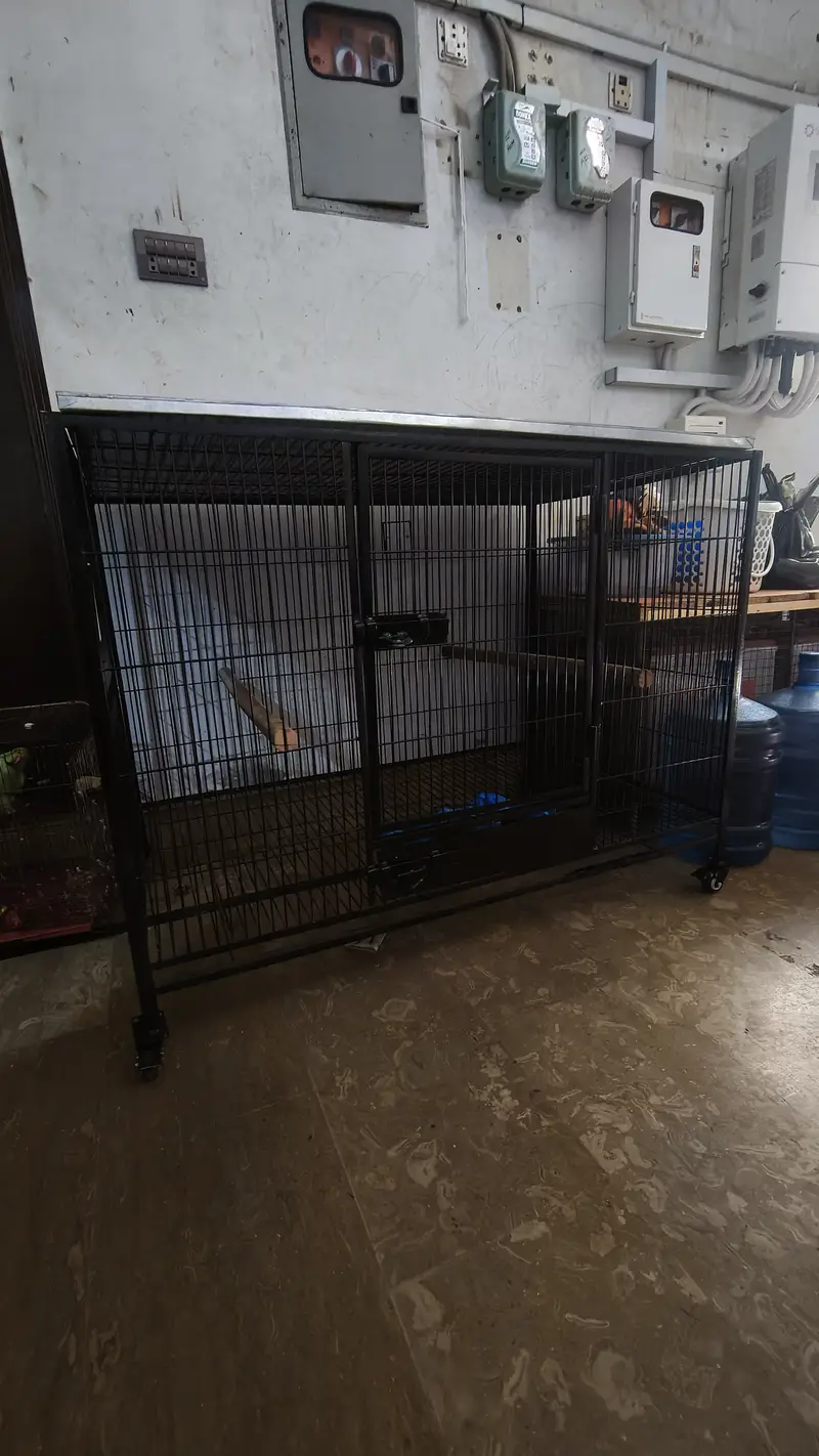 Cage | Hens Cage | Cat Cage | Dogs Cage | Birds Cage | Pet Iron Cage — photo 7