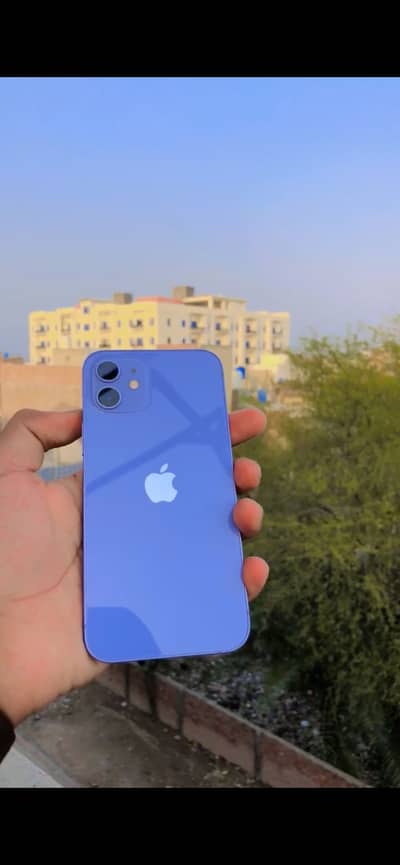 Apple iPhone 12