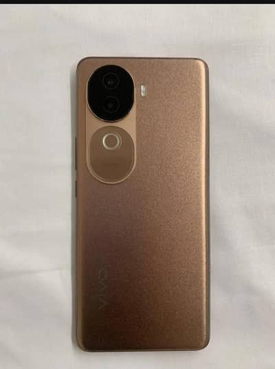 Vivo V40e
