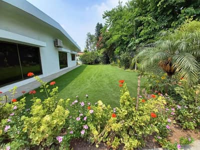 beautiful House With big lawn and ample parking for foreigners
