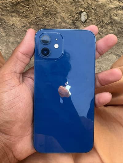 Apple iPhone 12