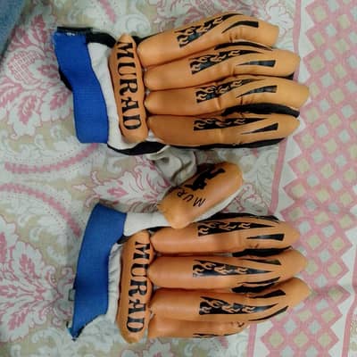 hardball cricket kit