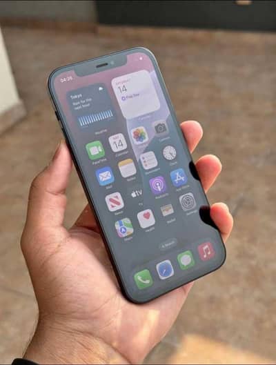 iphone 11 pro mxs