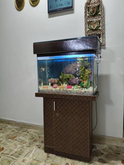 FISH AQUARIUM