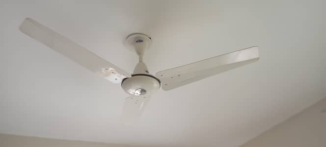 CEALING FAN FOR SALE: