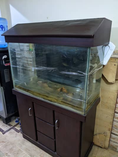 aquarium 3 feet read description first