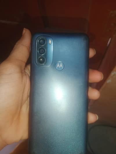 Motorola g31