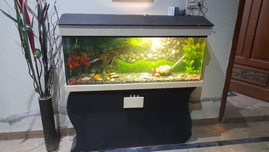 Premium Glass Aquarium –included air pump filter and Gold fishes