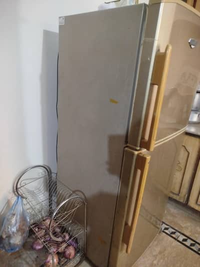 haier large size fridge