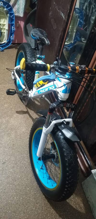 FAT TYER CYCLE 24 SIZE IMPORTED