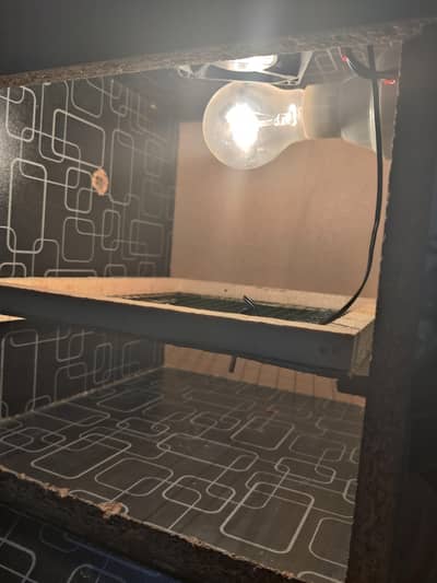 incubator