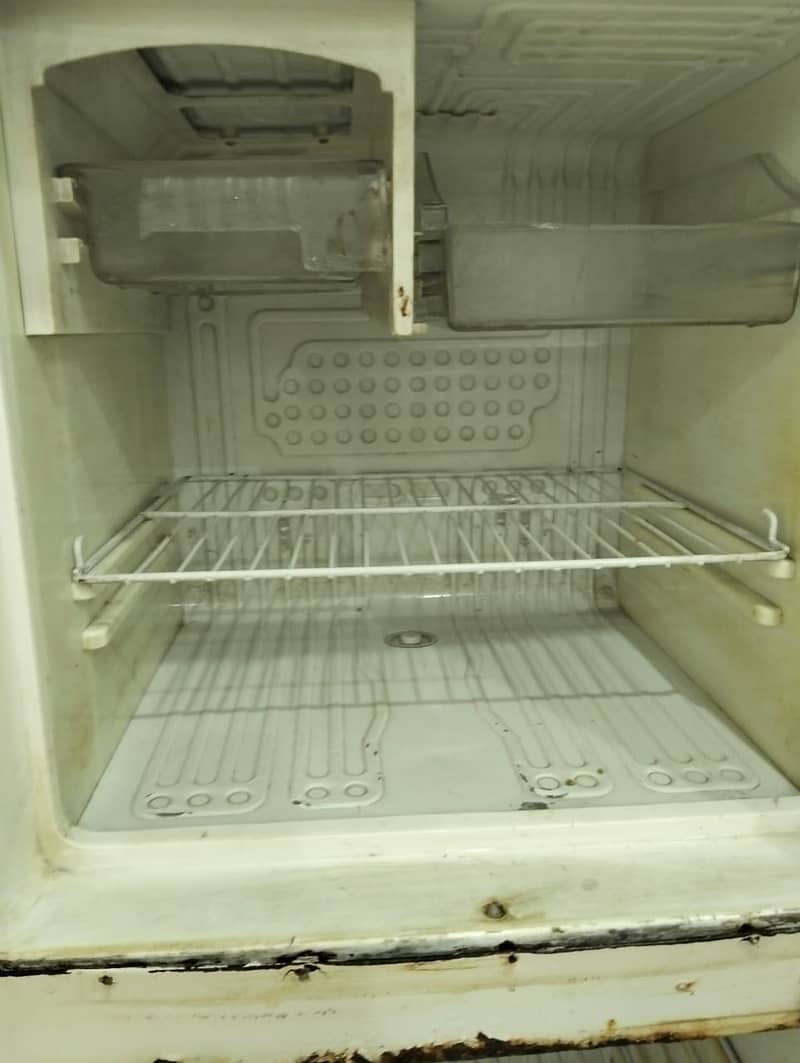 Waves refrigerator 3