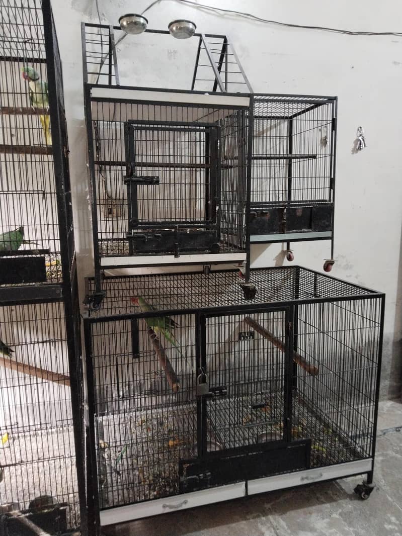 Raw + Cage 4