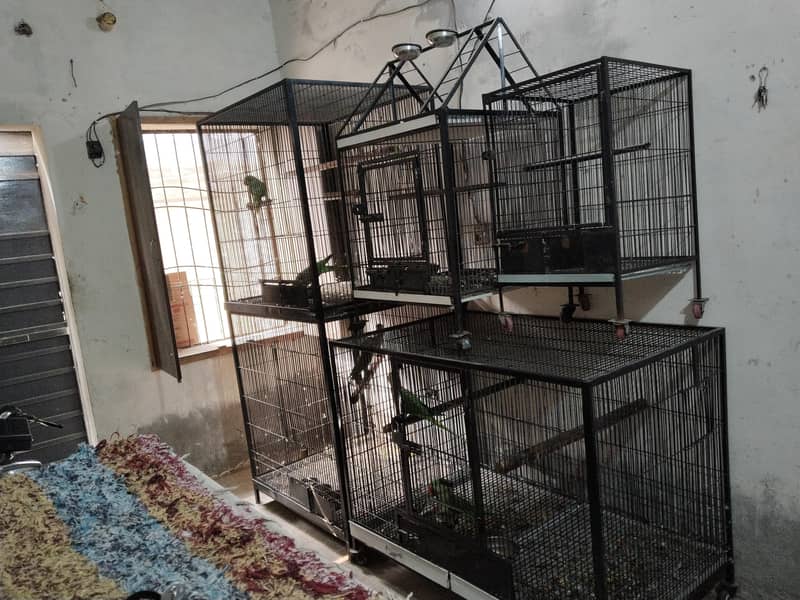 Raw + Cage 10