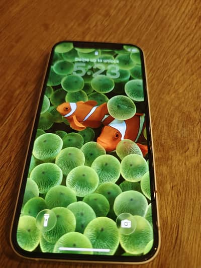 Apple iPhone 12 mini