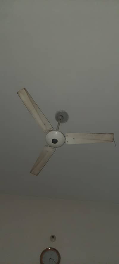 fan 4 sale