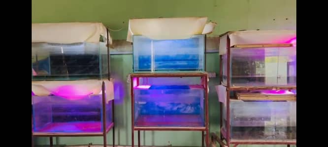 aquariums
