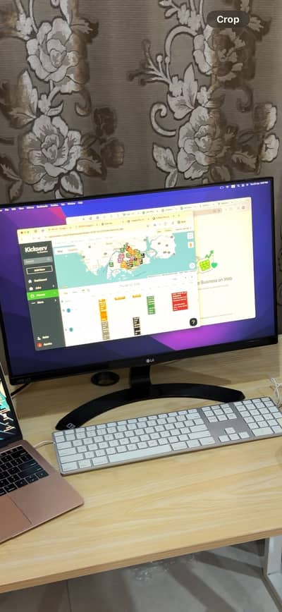 LG Monitor