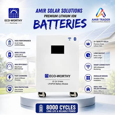 Eco Worthy battery 51.2V