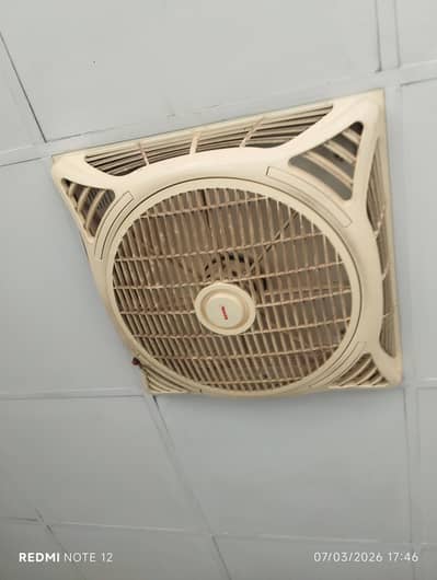 Royal ceiling fan