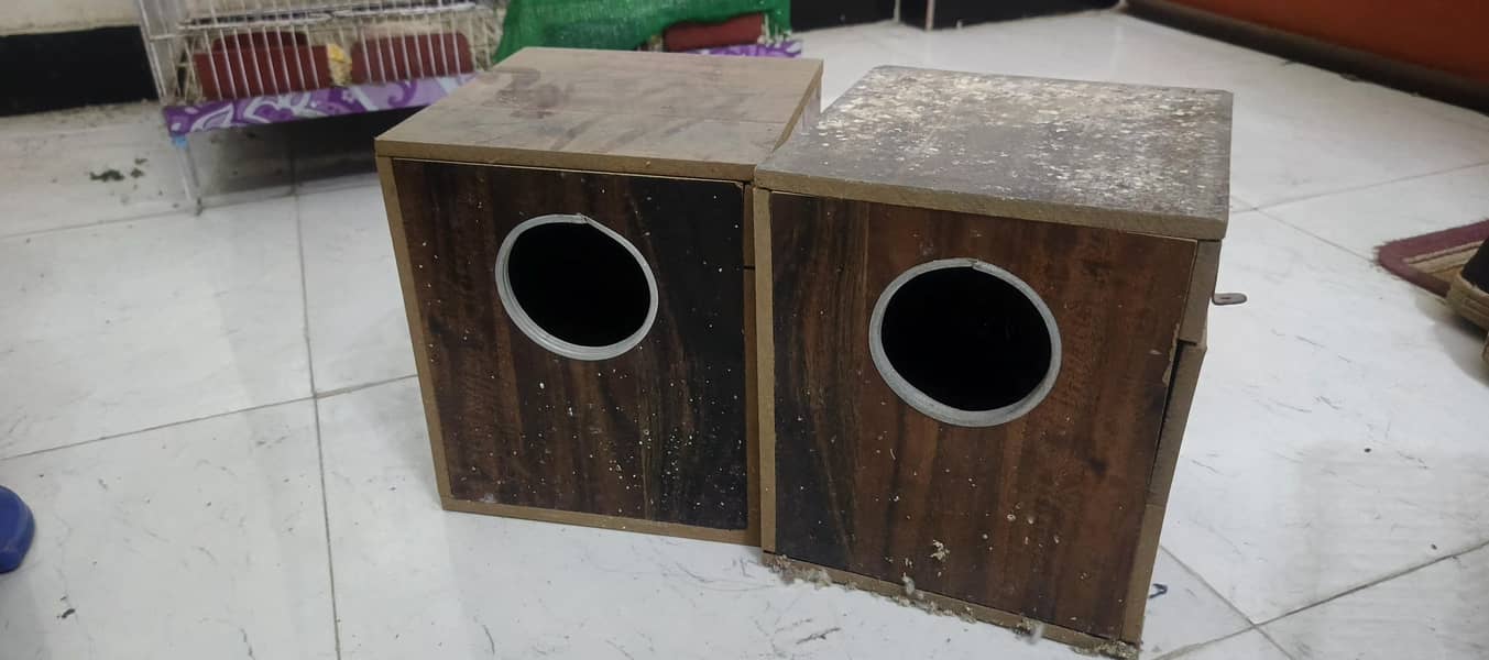 Box's 0