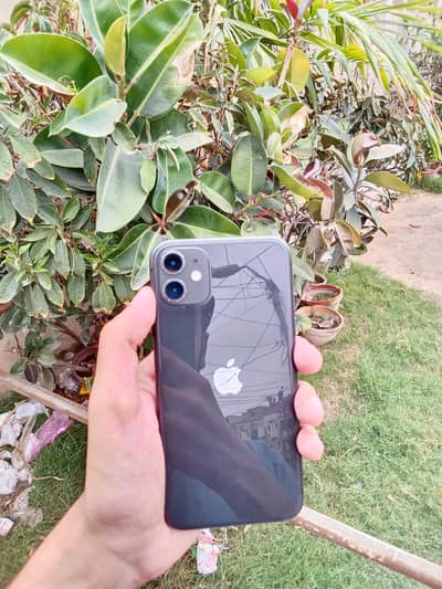 Apple iPhone 11