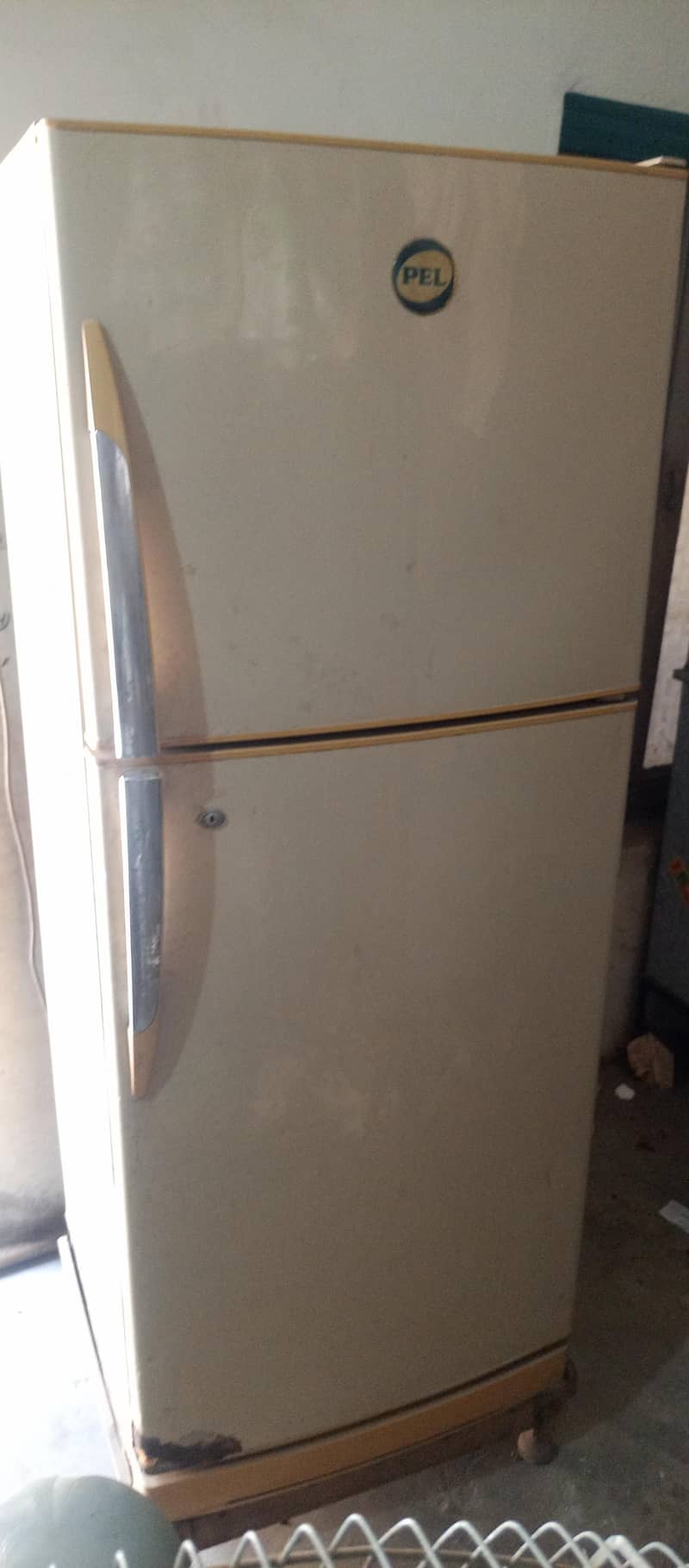 fridge 1