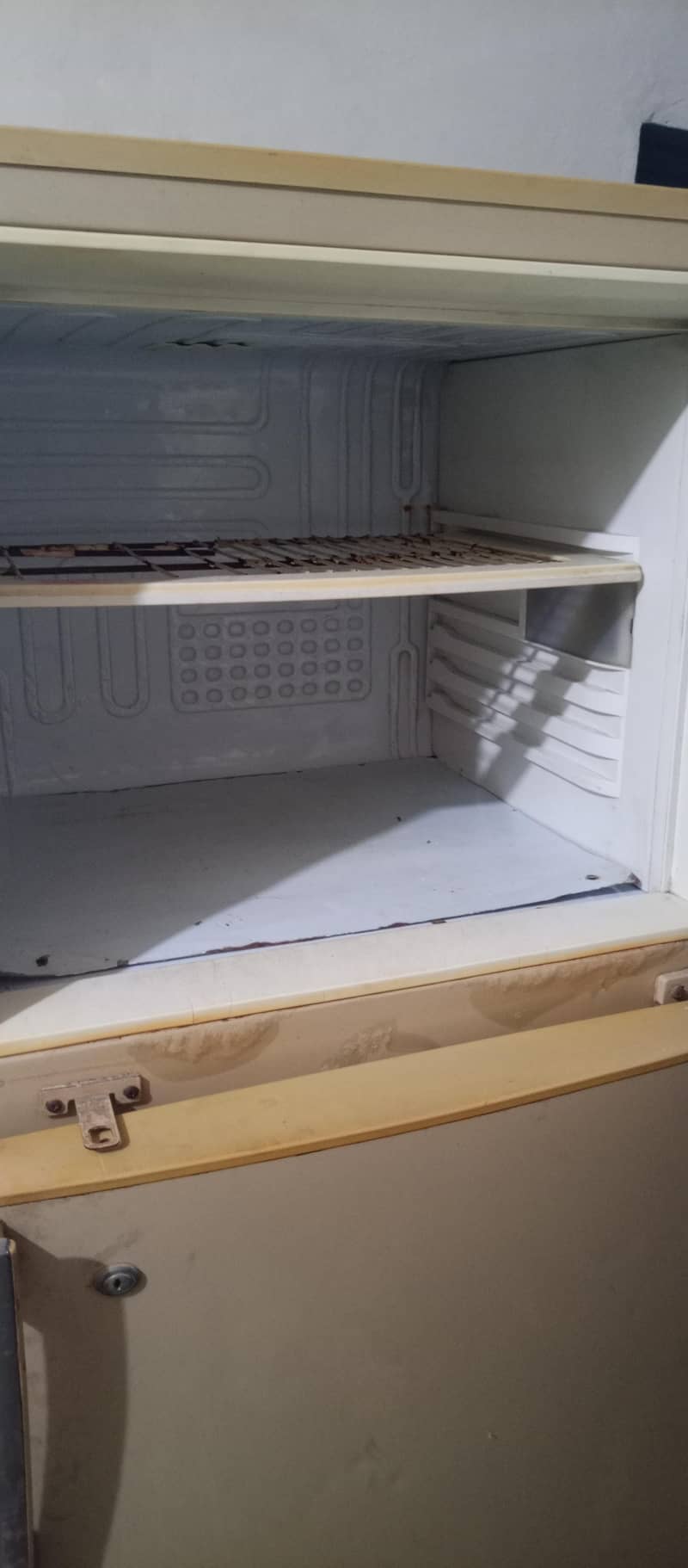 fridge 4