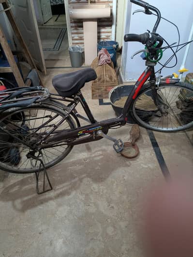 for sale