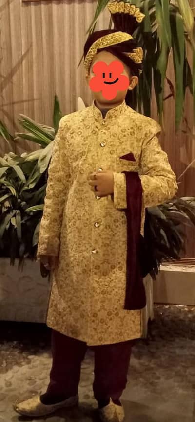 sherwani package