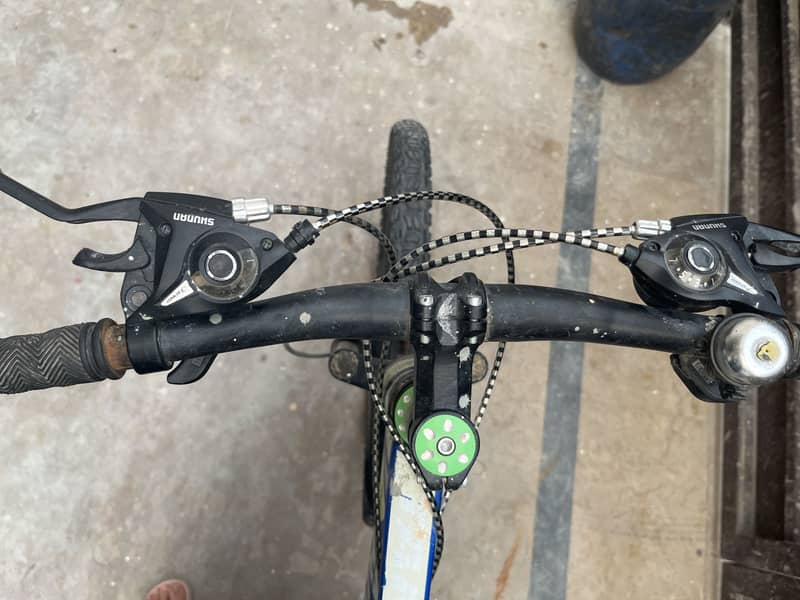 Bicycle ( Tango model) 1