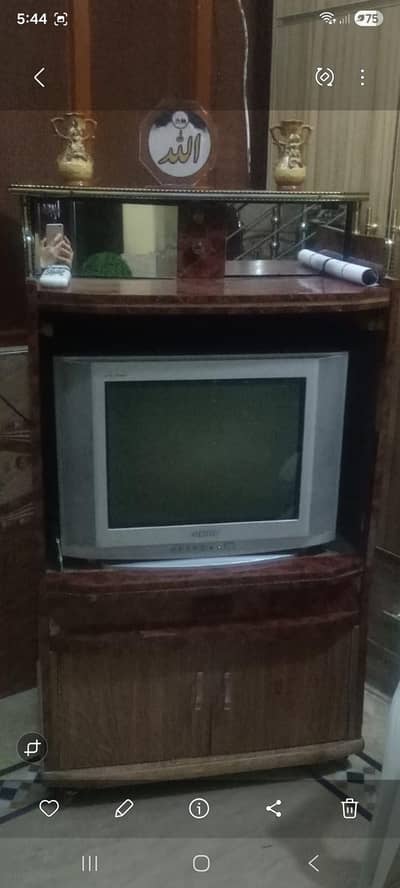 Television