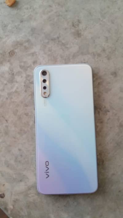 vivo.