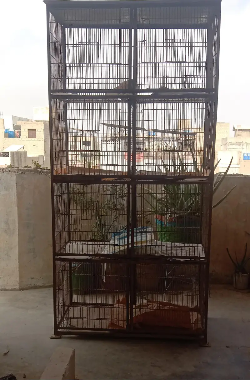 MURGHA & 4 MURGHIYA+ PINJRA — photo 4