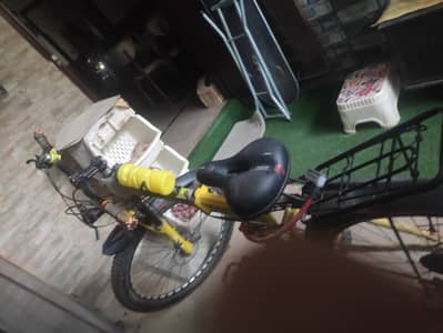Morgan foldable mountain bike