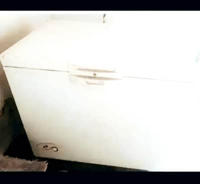 signal door cold freezer small size