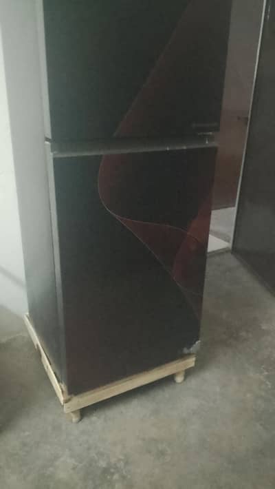 argnat for sale
