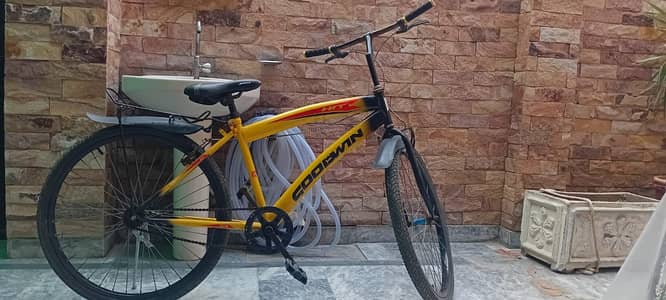 Coodmn Hit Cycle – Great Condition, Ready to Ride