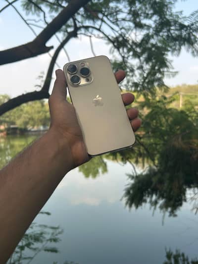 iPhone 13 Pro