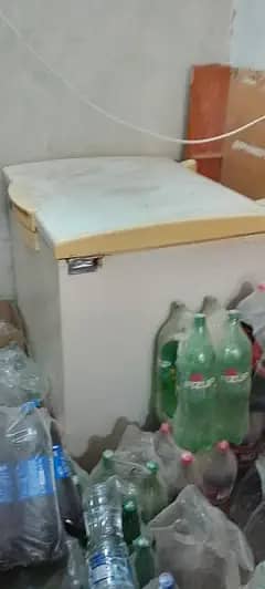 Waves 1 door freezer/ Deffrezzer 1 door