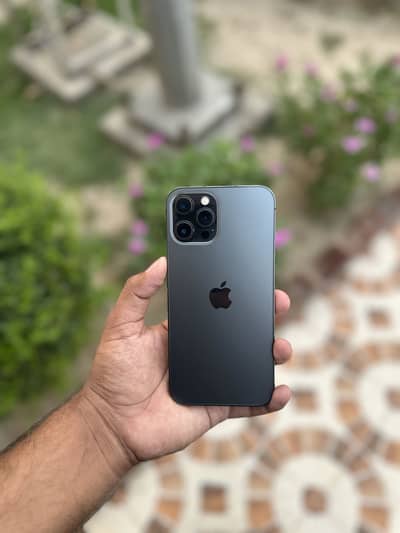 Iphone 12 pro max