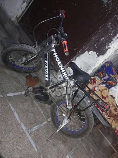 new cycle ha