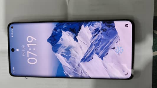 Vivo V40e