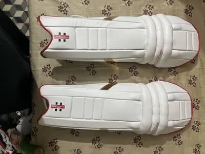 Cricket full kit gray Nicolle