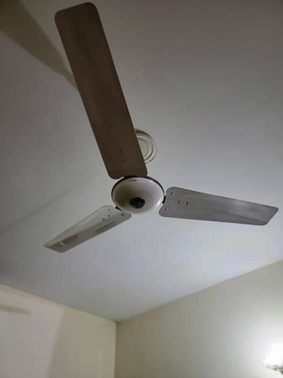 Pak Fan ka ceiling fan