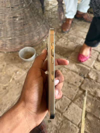 Apple iPhone 12 Pro Max