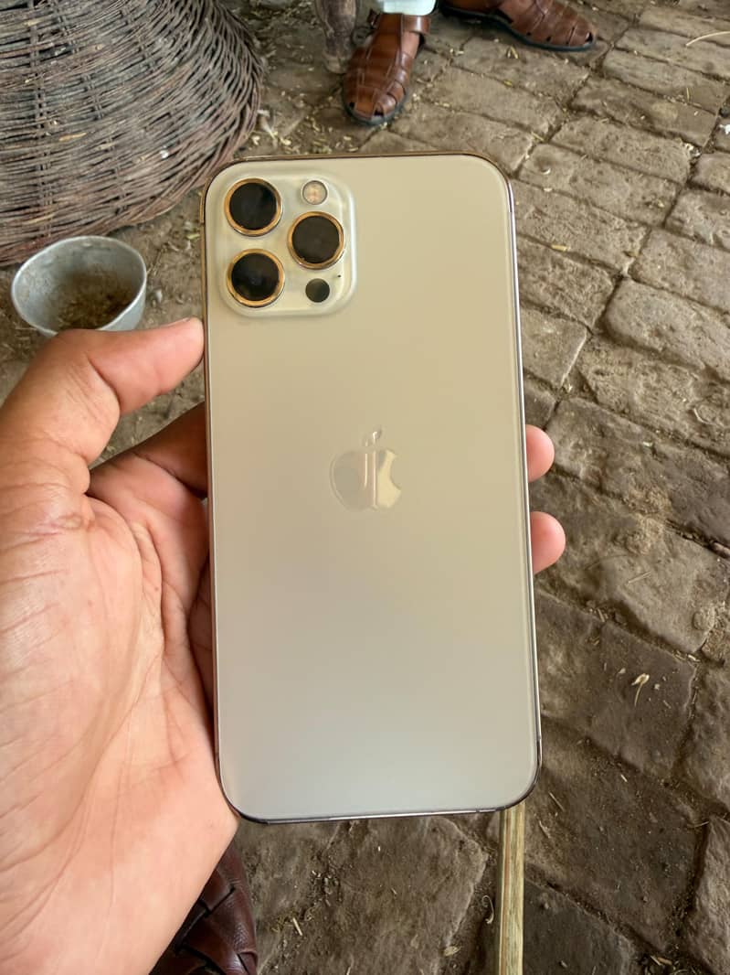 Apple iPhone 12 Pro Max 1