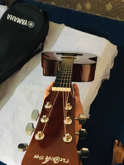 Guitar Olive Tree