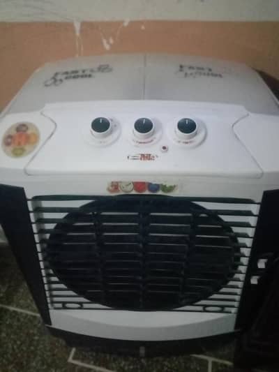6 month used